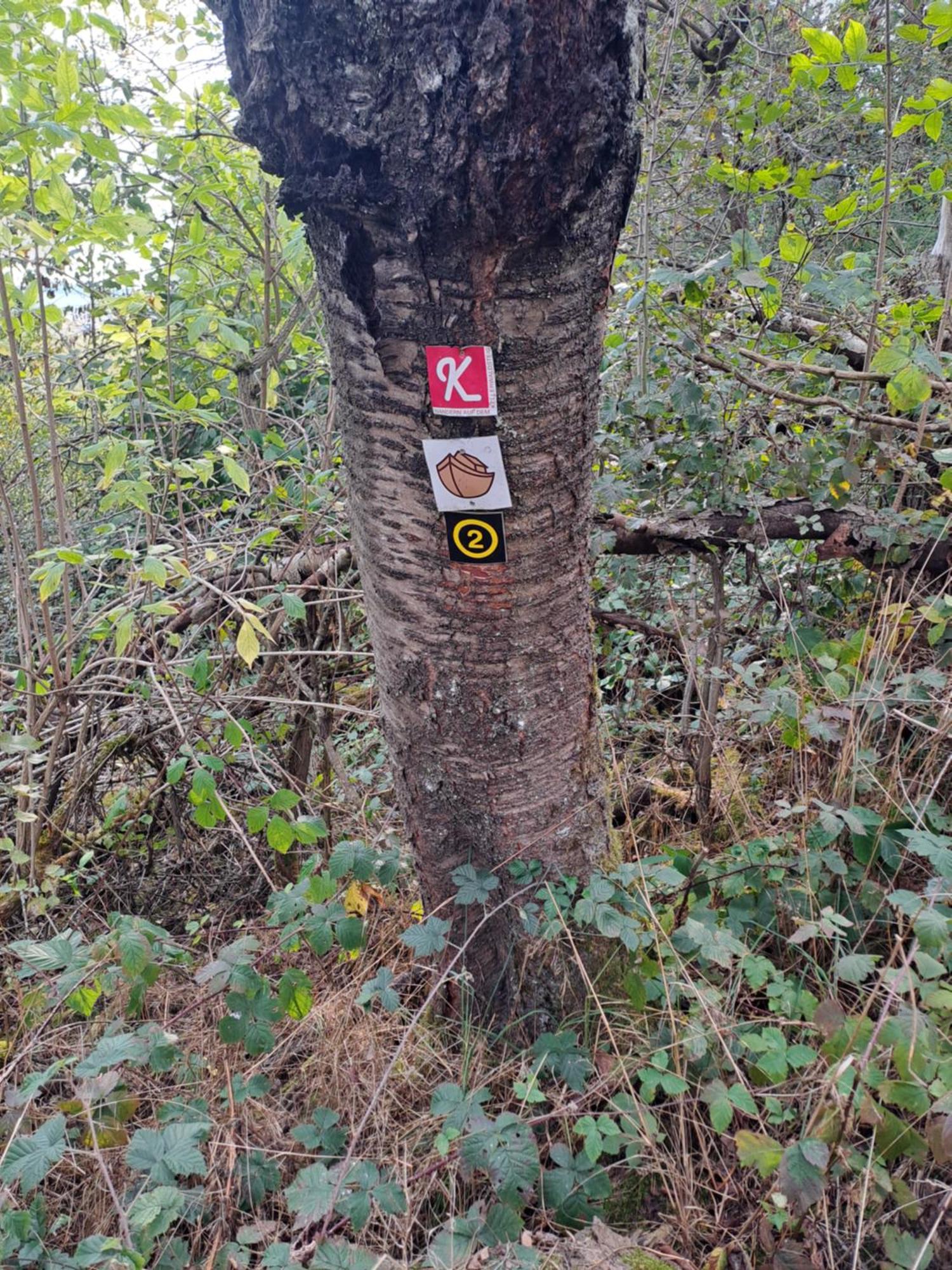 Ferienwohnung Schaefer Am Nationalpark Kellerwald Frankenau Εξωτερικό φωτογραφία