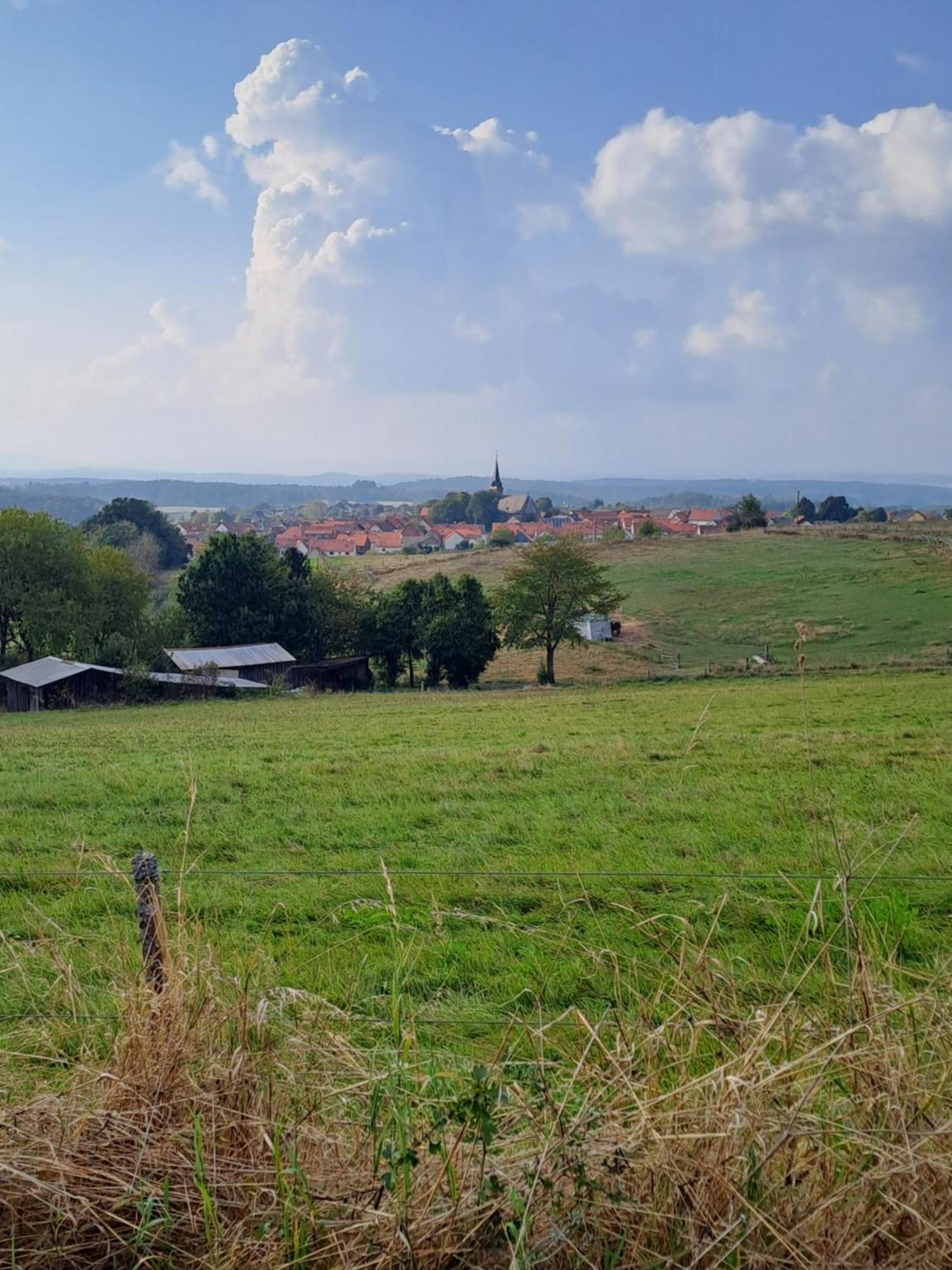 Ferienwohnung Schaefer Am Nationalpark Kellerwald Frankenau Εξωτερικό φωτογραφία